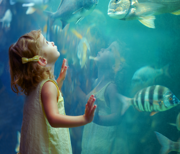 child aquarium